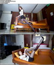 [Beautyleg]HD����ӰƬ 2020.10.13 No.1122
