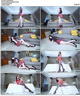 [Beautyleg]HD����ӰƬ 2020.04.21 No.1068